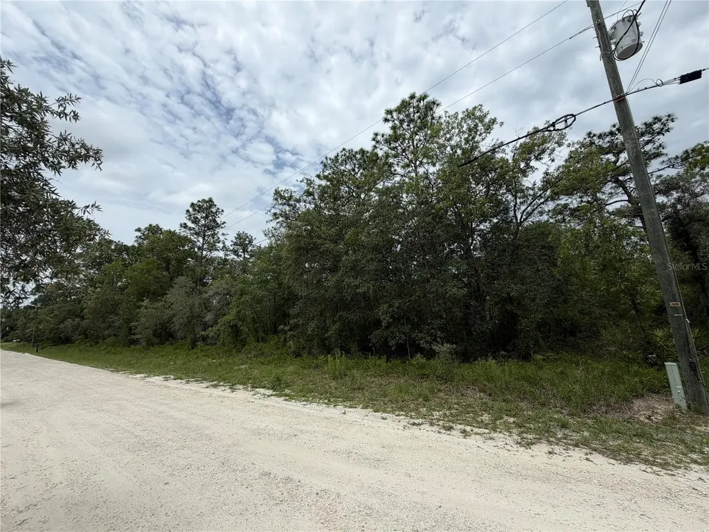 18011 Nutcracker Road Weeki Wachee FL 34614