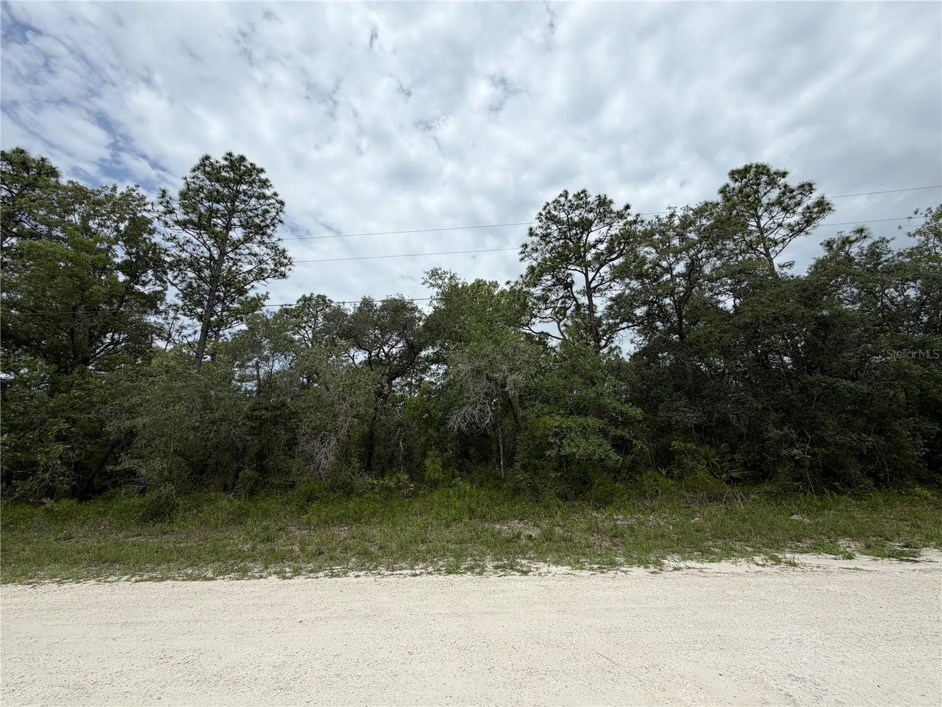 18011 Nutcracker Road Weeki Wachee FL 34614