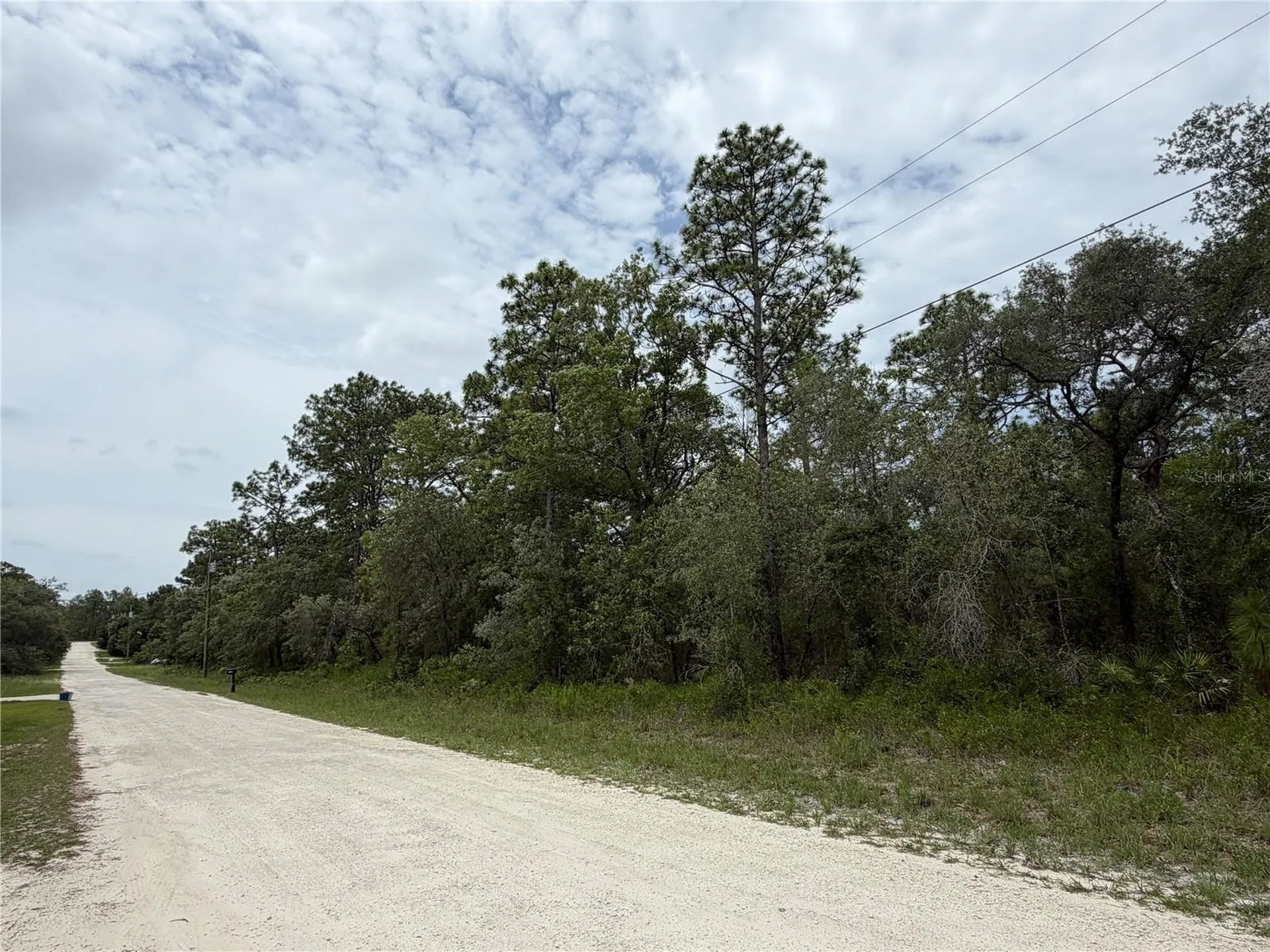 18011 Nutcracker Road Weeki Wachee FL 34614