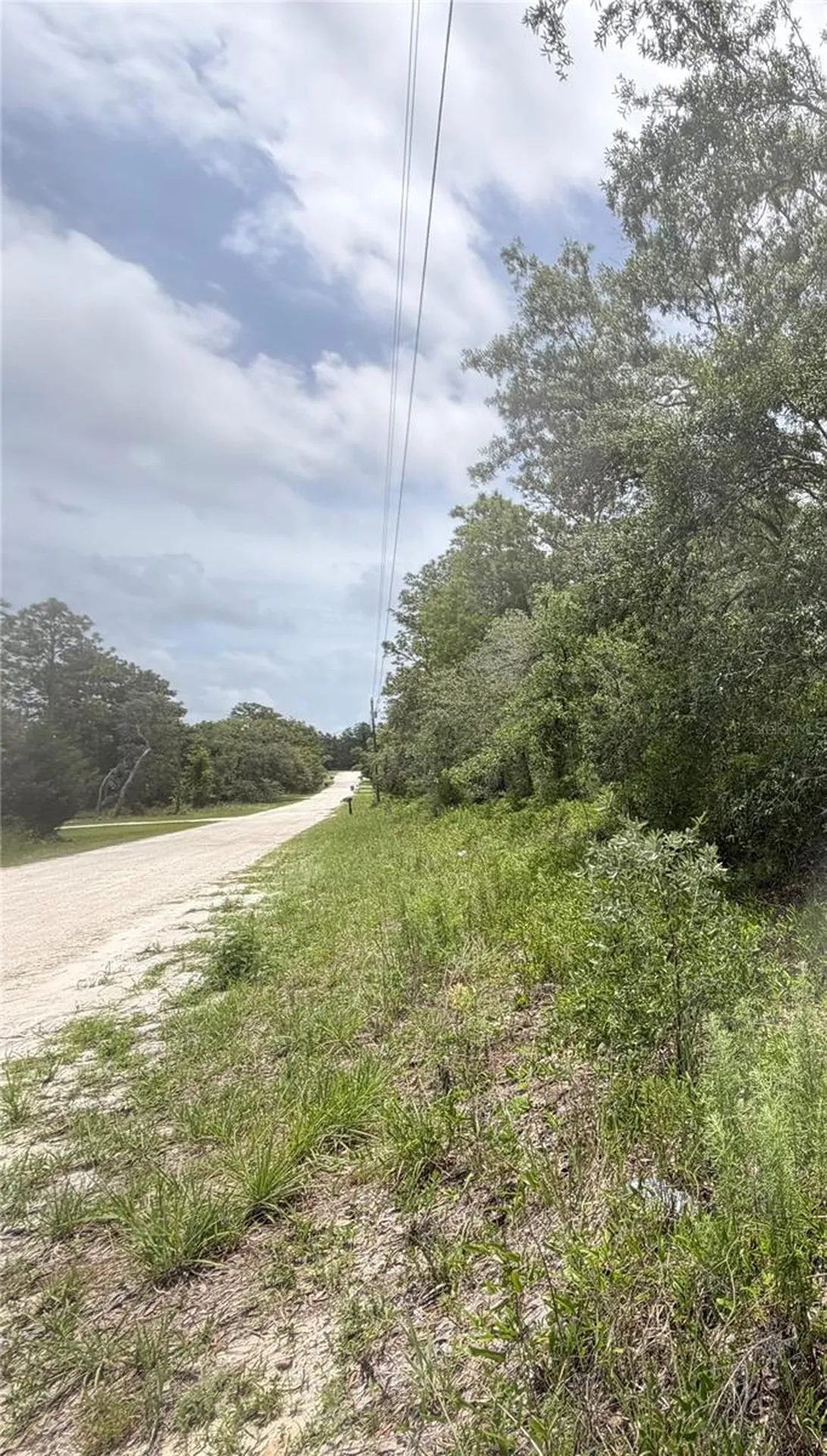 18011 Nutcracker Road Weeki Wachee FL 34614
