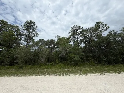 18011 Nutcracker Road Weeki Wachee FL 34614