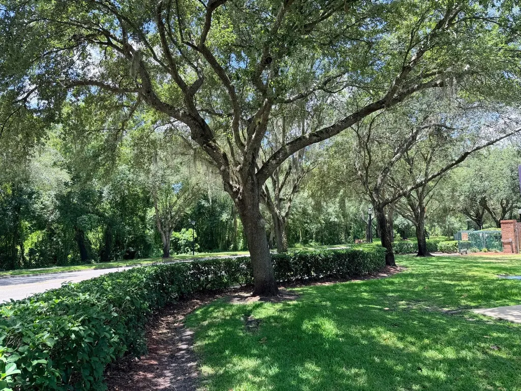 1083 Beckstrom Drive Oviedo FL 32765