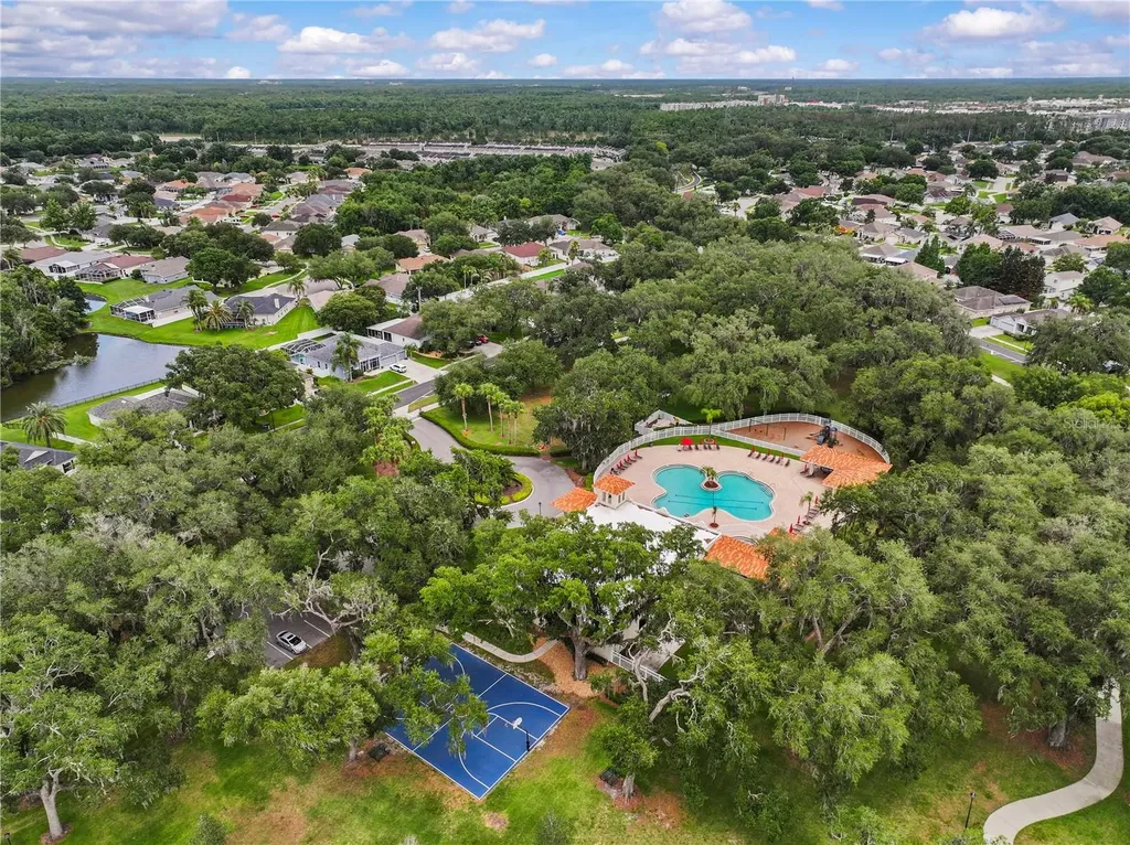 3423 Santa Rita Lane Land O Lakes FL 34639