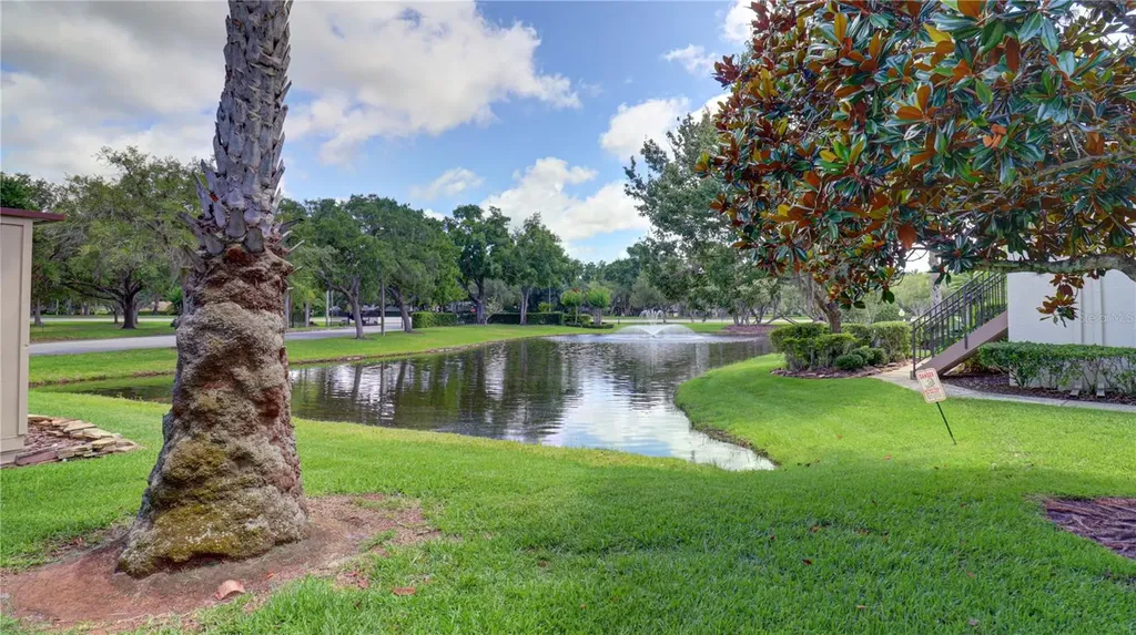 3399 Mermoor Drive Palm Harbor FL 34685