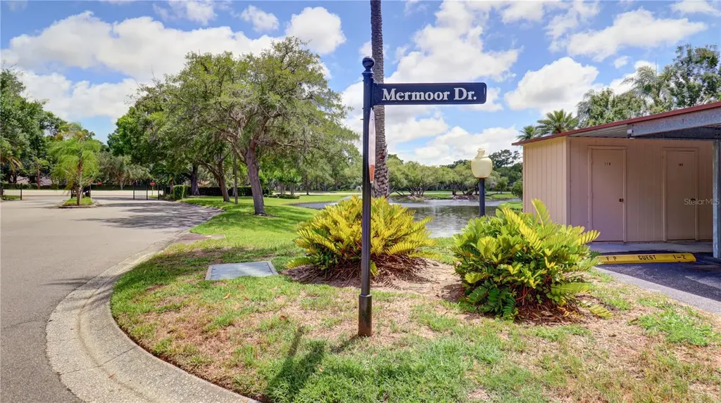 3399 Mermoor Drive Palm Harbor FL 34685