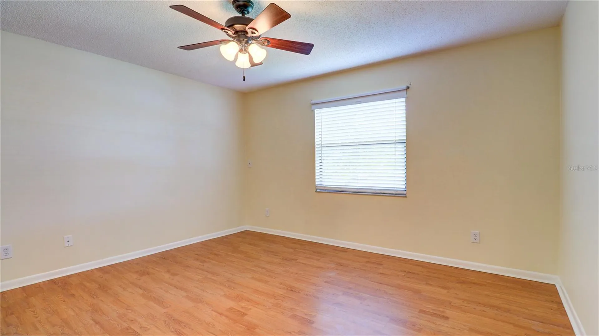 3399 Mermoor Drive Palm Harbor FL 34685
