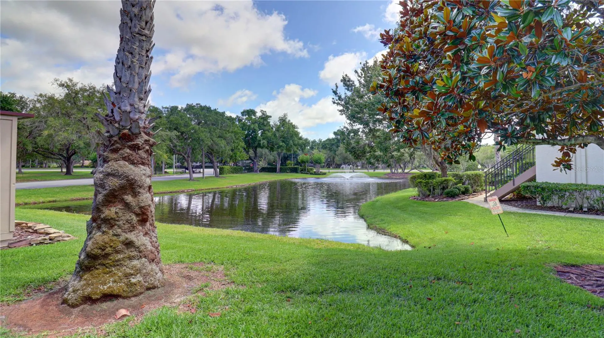 3399 Mermoor Drive Palm Harbor FL 34685