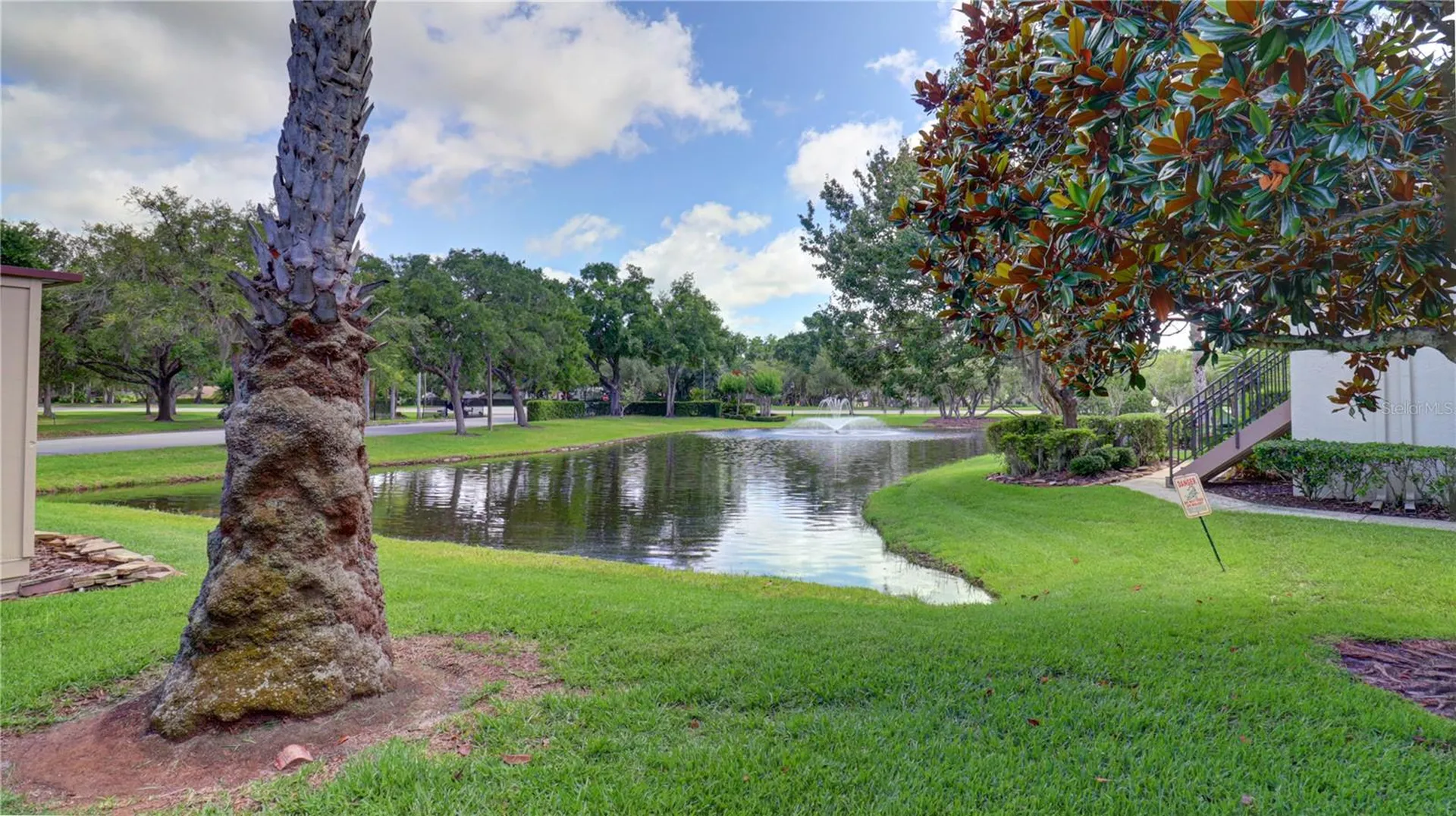 3399 Mermoor Drive Palm Harbor FL 34685
