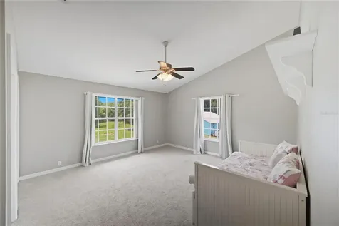 26347 Foamflower Boulevard Wesley Chapel FL 33544