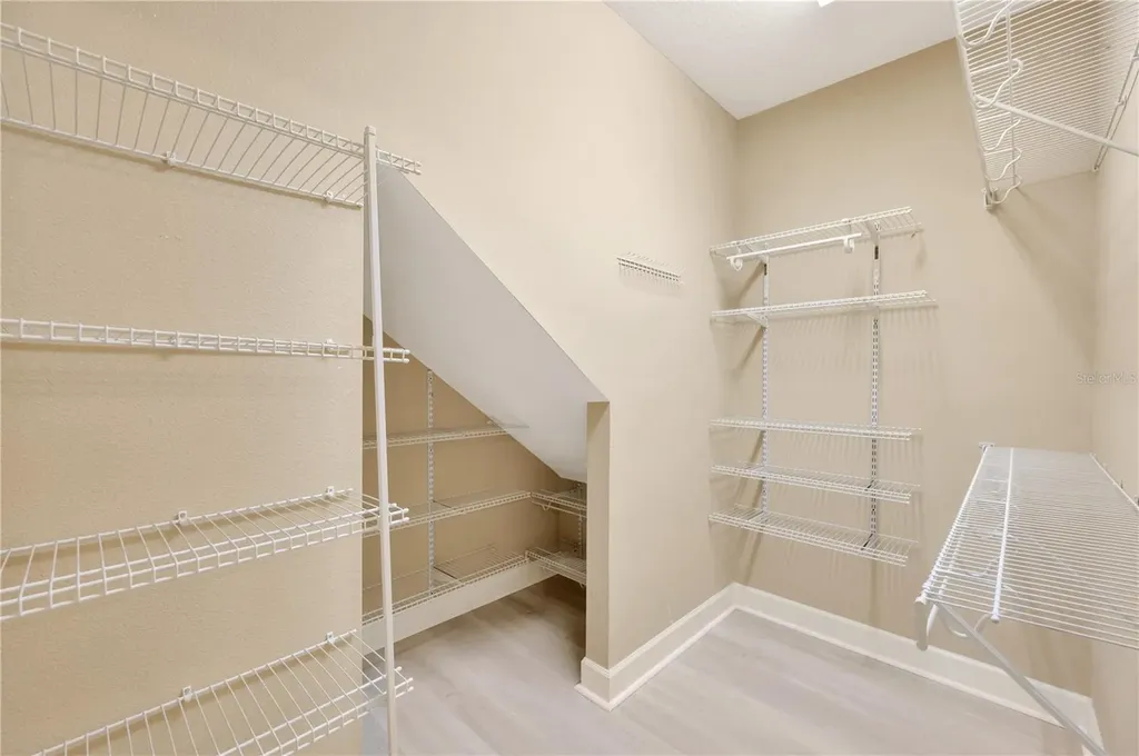 16065 Bella Woods Drive Tampa FL 33647