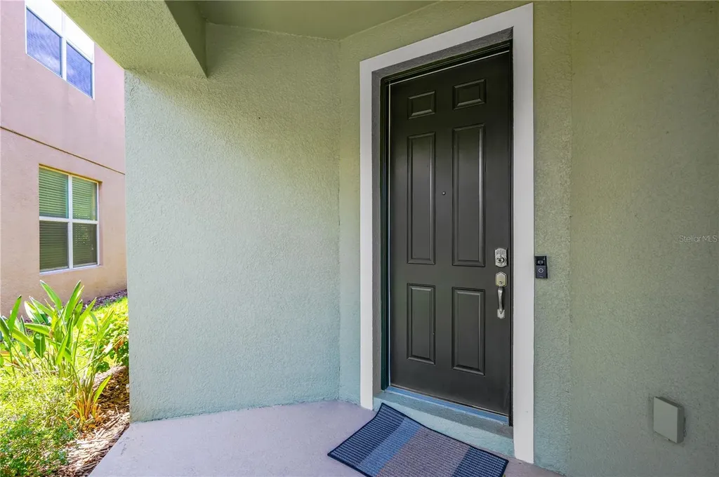 16065 Bella Woods Drive Tampa FL 33647