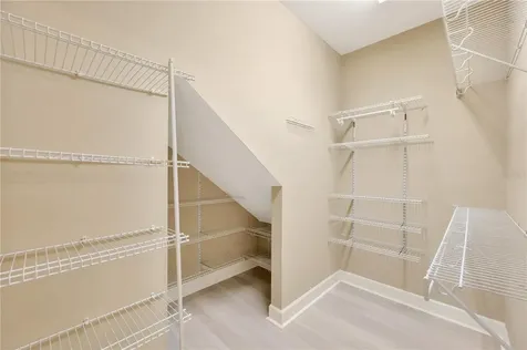 16065 Bella Woods Drive Tampa FL 33647