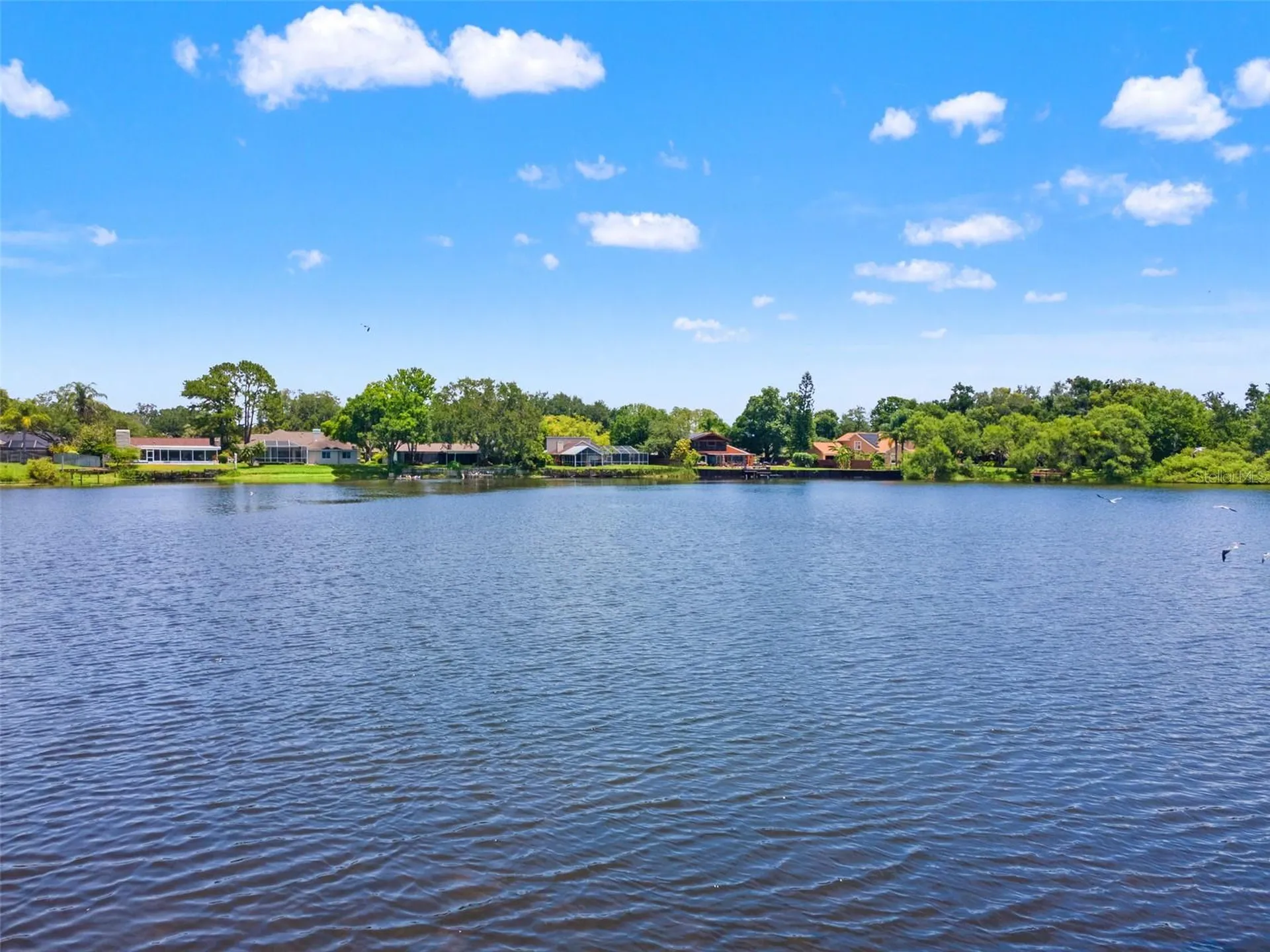 4315 Round Lake Tampa FL 33618