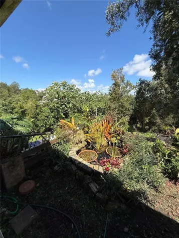 Bayamon PR 00959