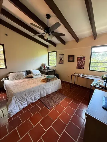 Bayamon PR 00959