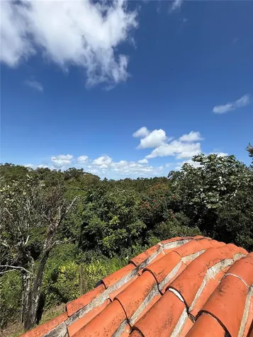 Bayamon PR 00959