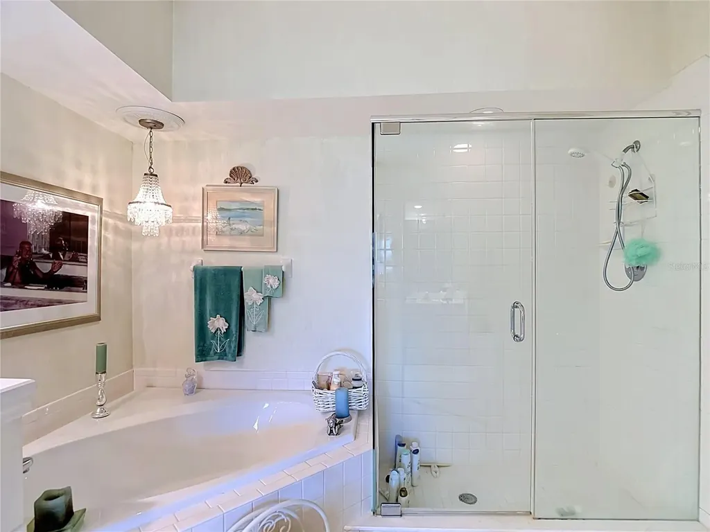 1260 Clays Trail Oldsmar FL 34677