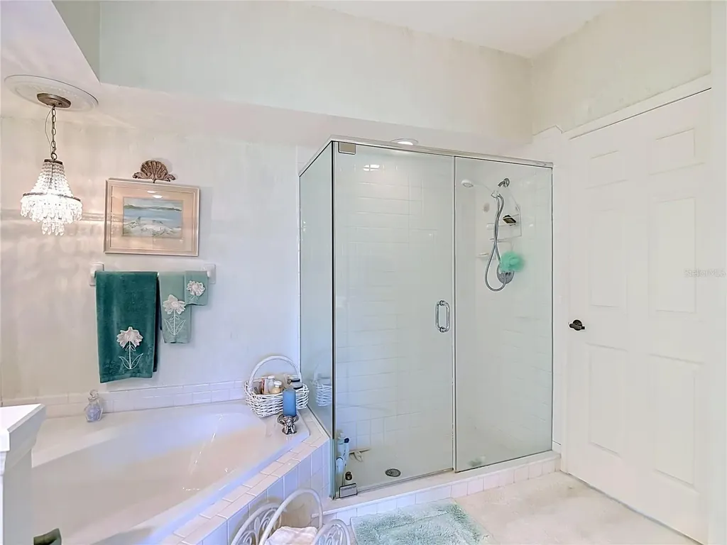 1260 Clays Trail Oldsmar FL 34677