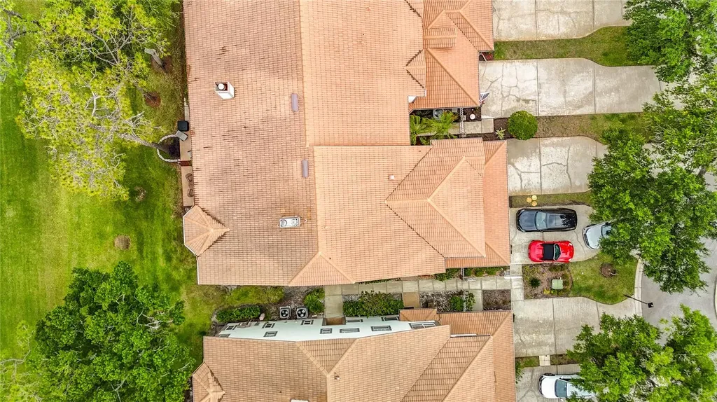 1260 Clays Trail Oldsmar FL 34677