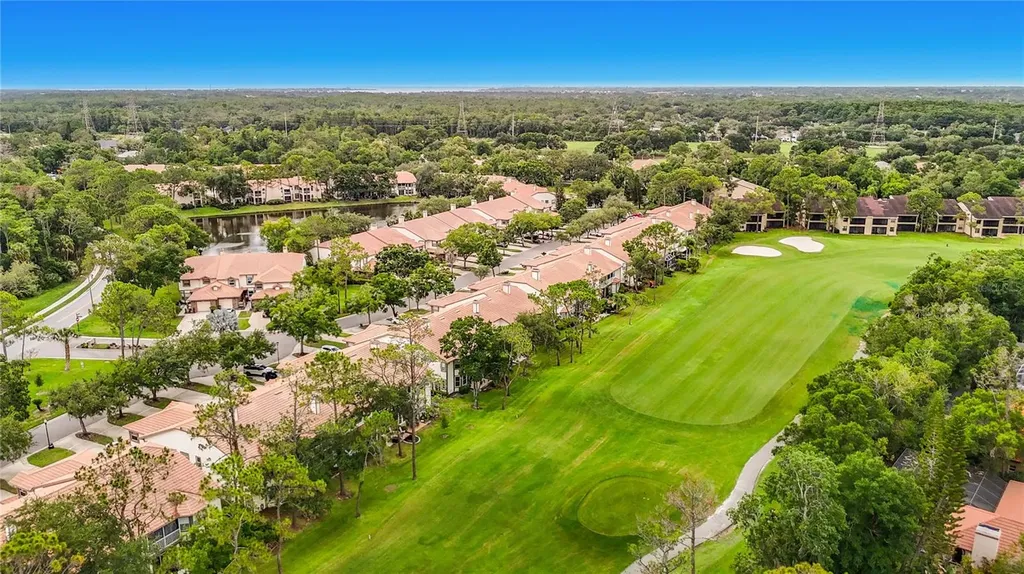 1260 Clays Trail Oldsmar FL 34677