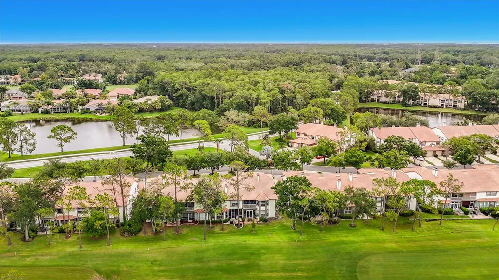 1260 Clays Trail Oldsmar FL 34677