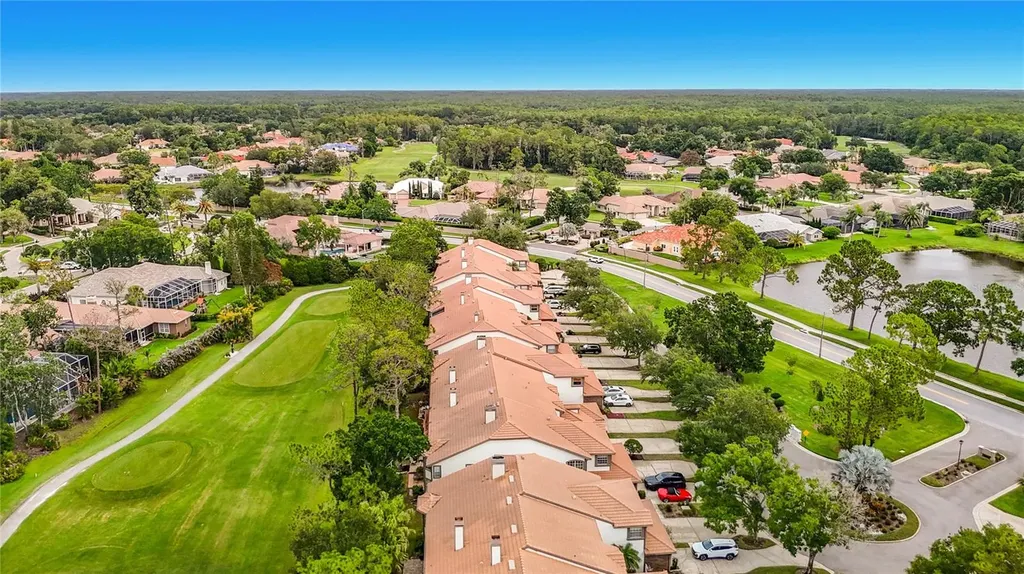 1260 Clays Trail Oldsmar FL 34677