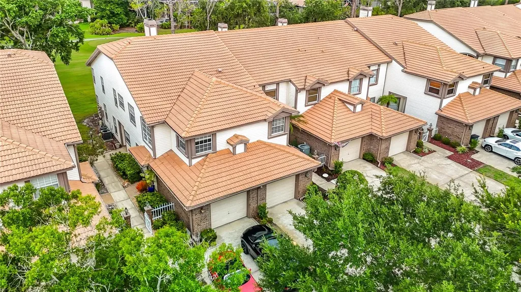 1260 Clays Trail Oldsmar FL 34677