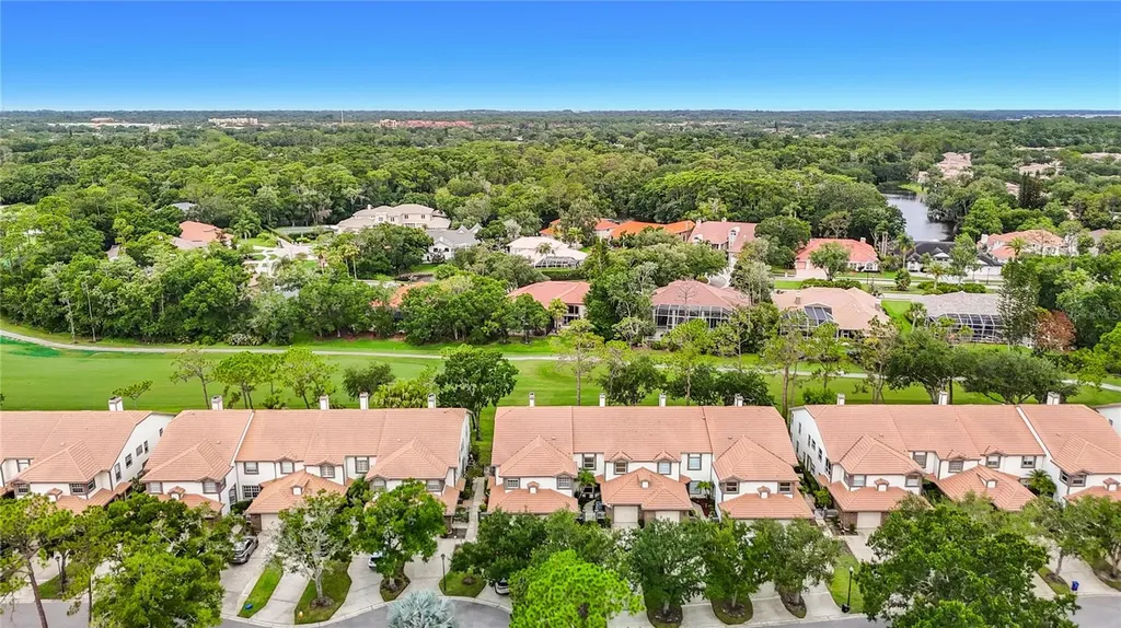 1260 Clays Trail Oldsmar FL 34677
