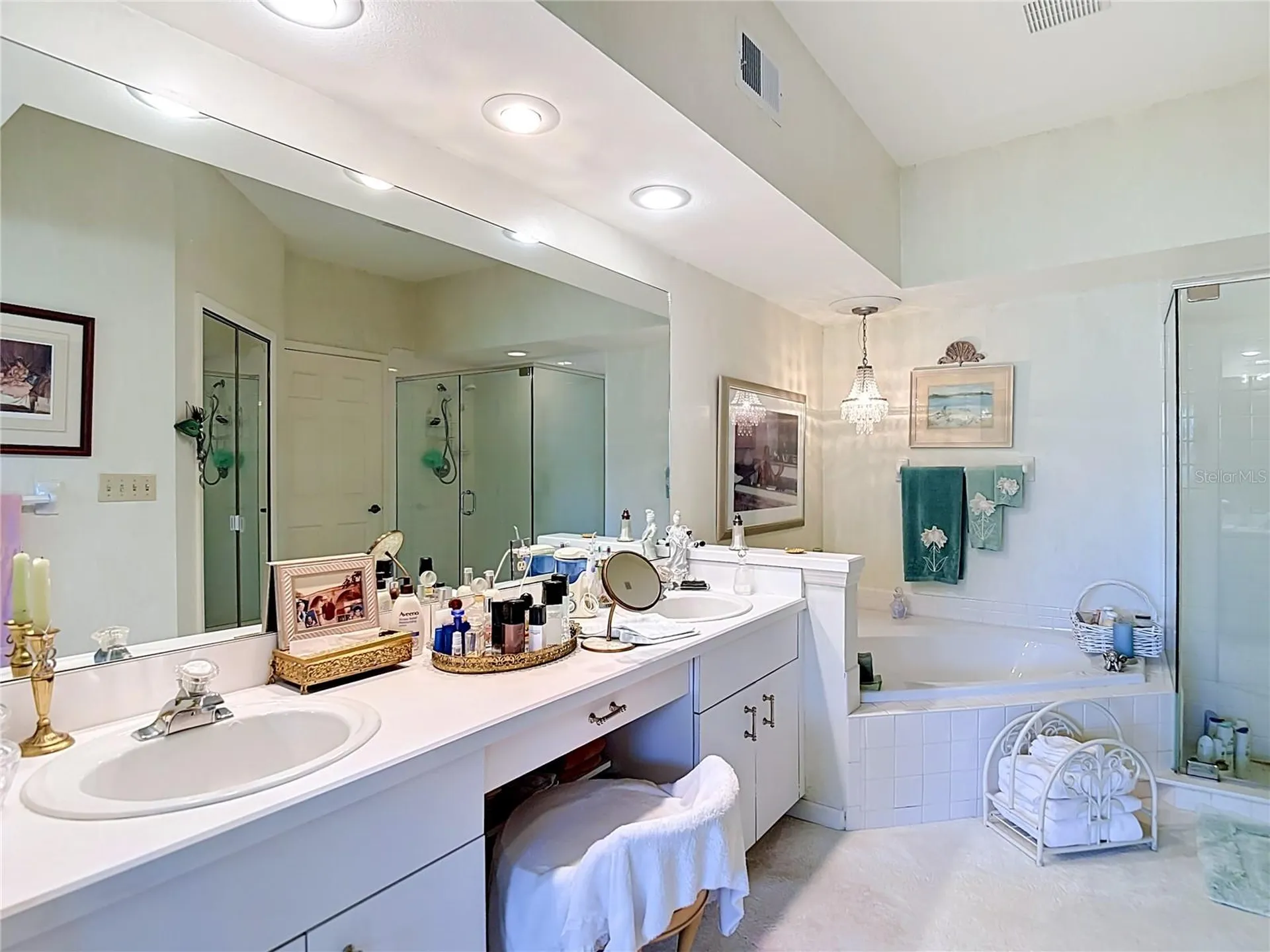 1260 Clays Trail Oldsmar FL 34677