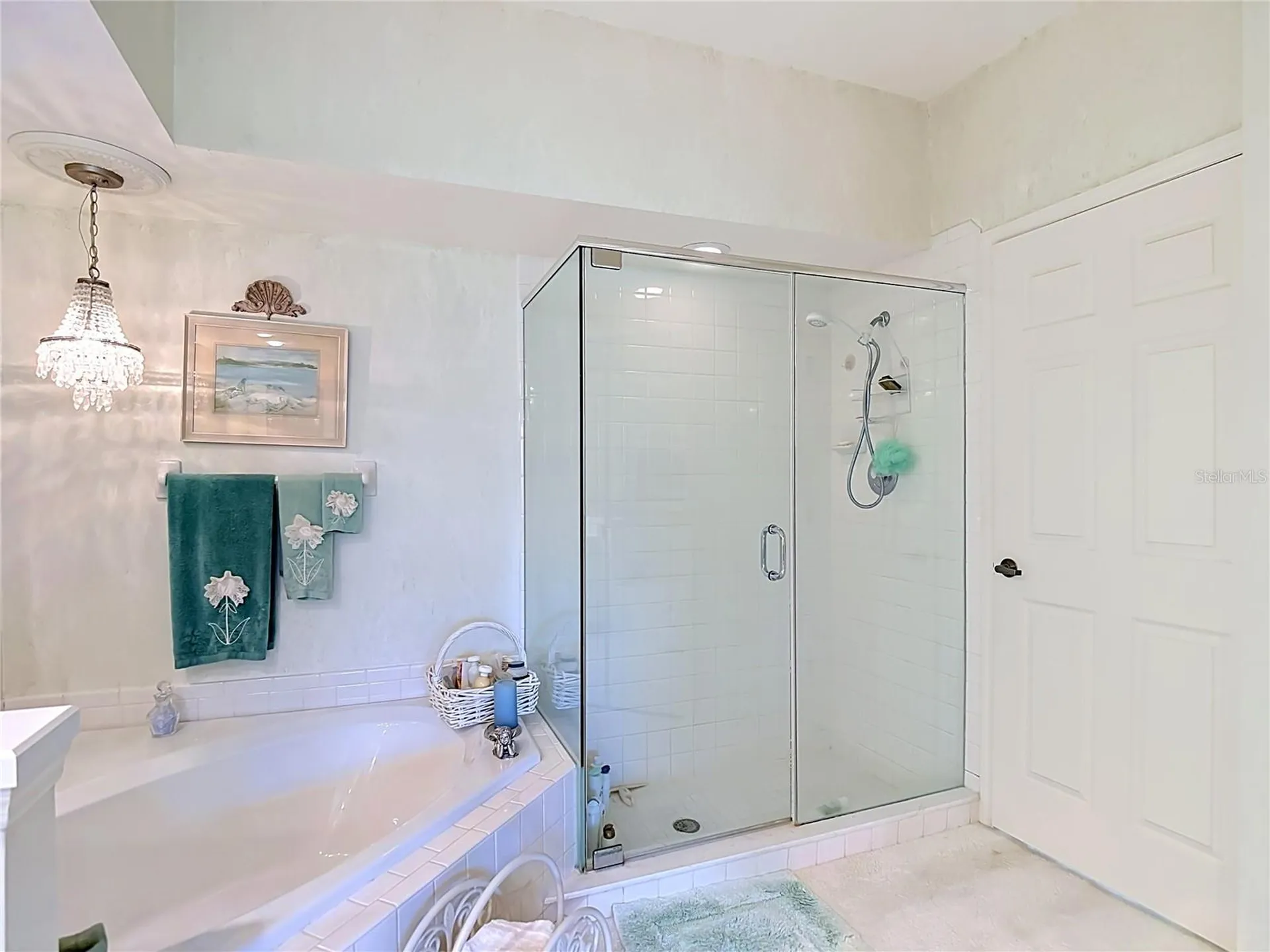 1260 Clays Trail Oldsmar FL 34677
