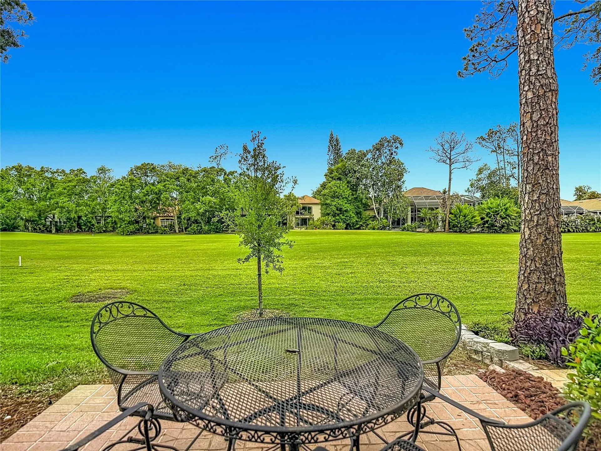 1260 Clays Trail Oldsmar FL 34677