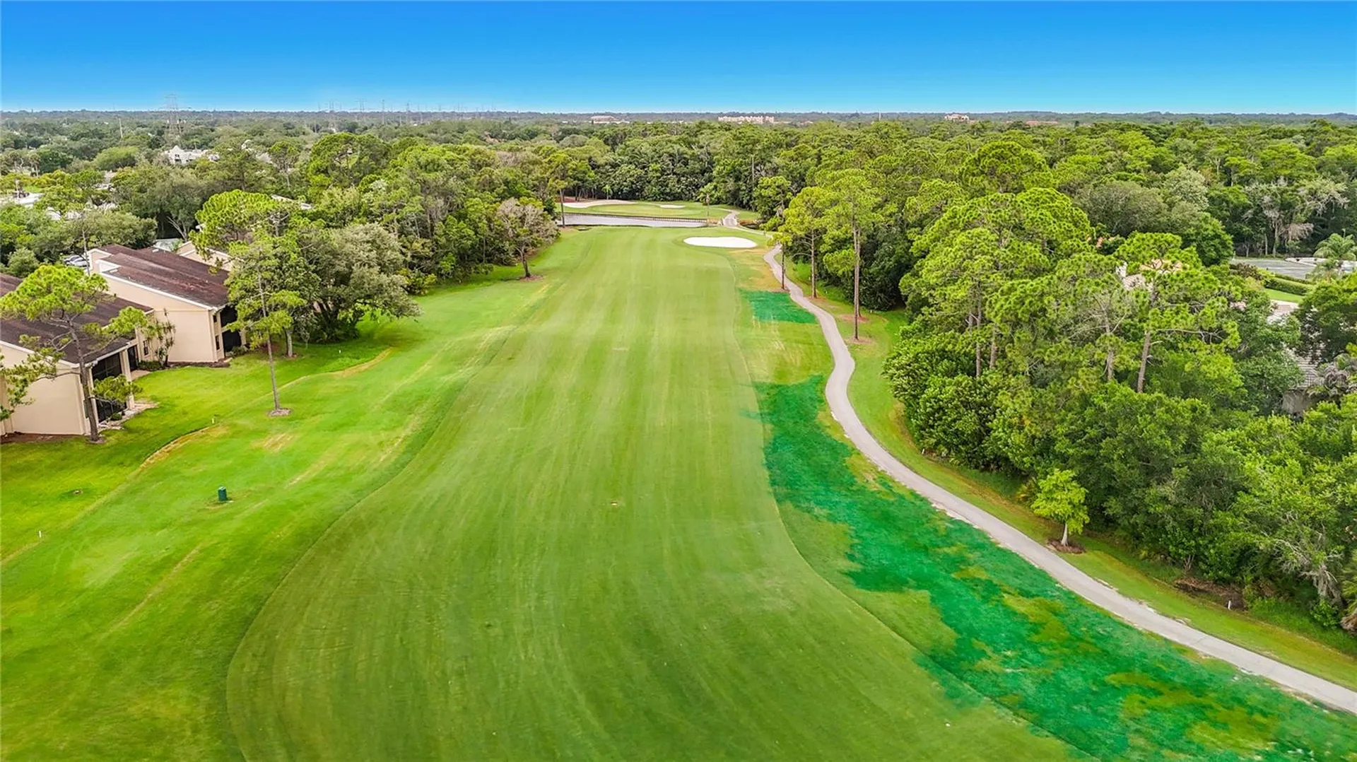 1260 Clays Trail Oldsmar FL 34677