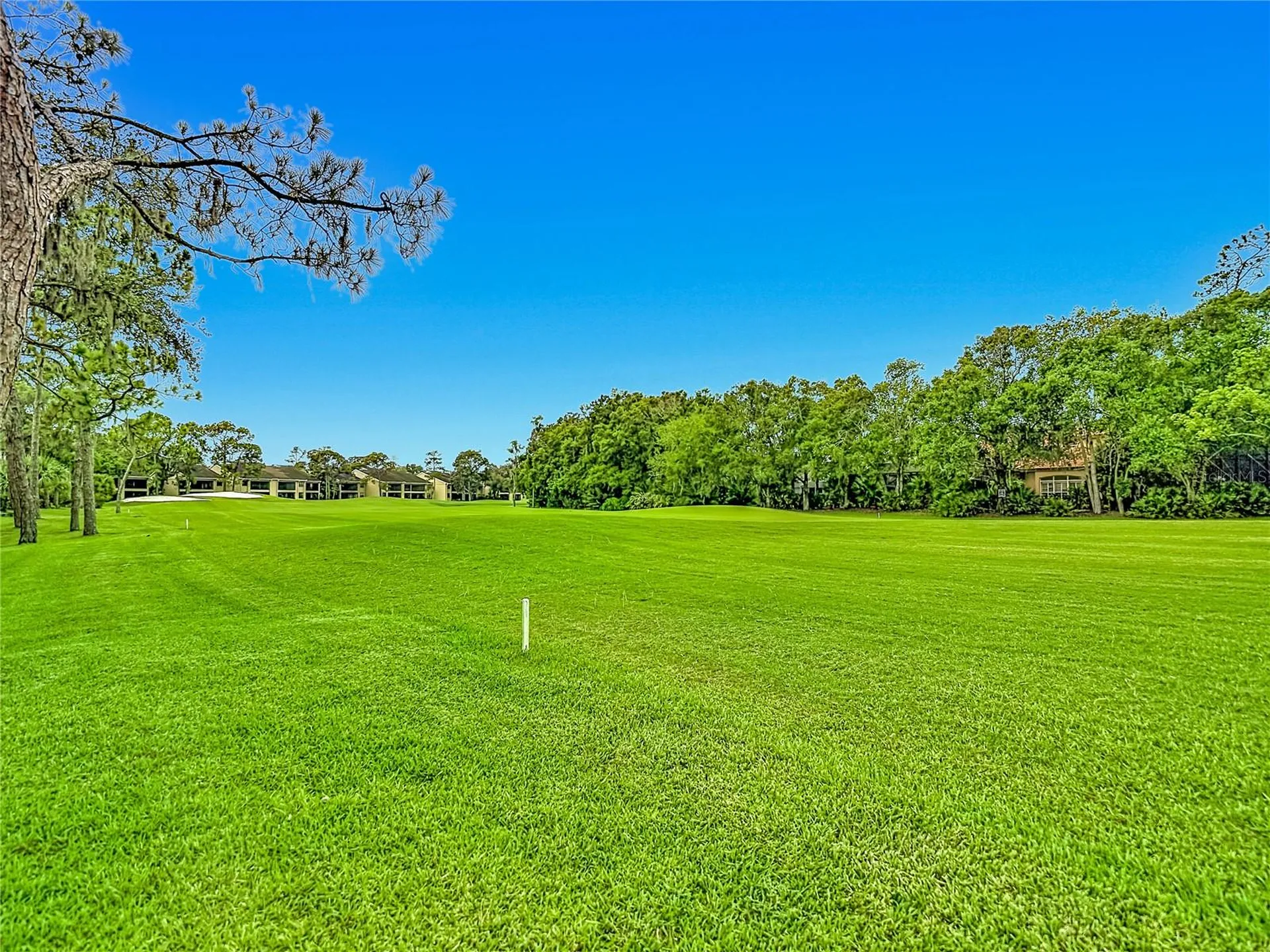 1260 Clays Trail Oldsmar FL 34677