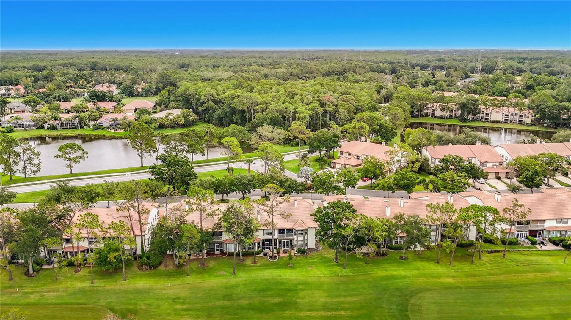 1260 Clays Trail Oldsmar FL 34677