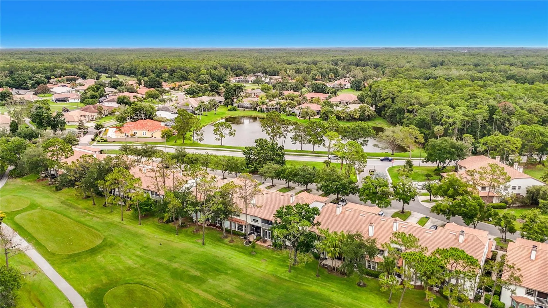 1260 Clays Trail Oldsmar FL 34677