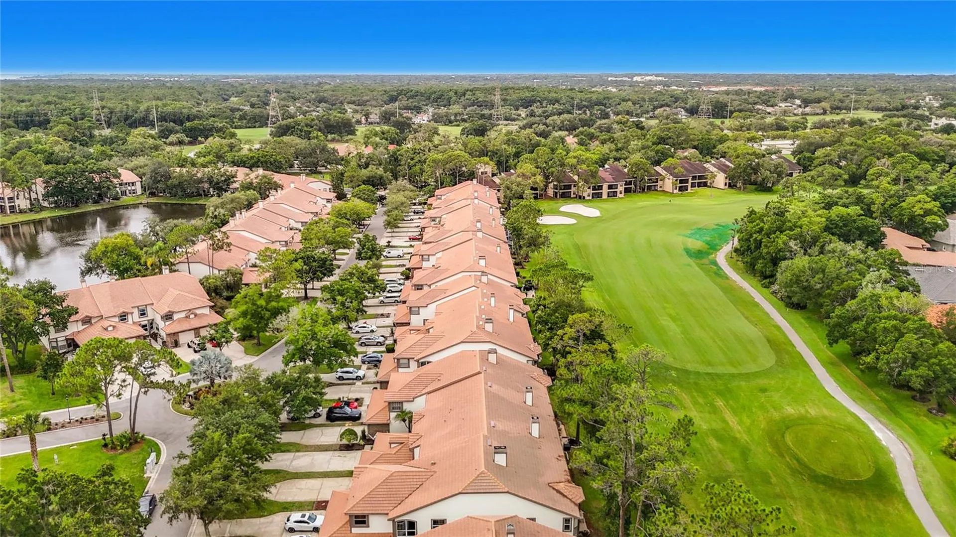 1260 Clays Trail Oldsmar FL 34677