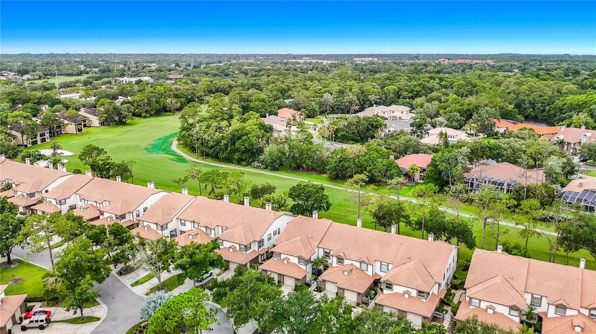 1260 Clays Trail Oldsmar FL 34677