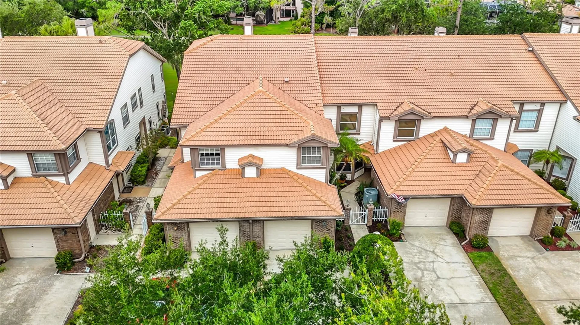 1260 Clays Trail Oldsmar FL 34677