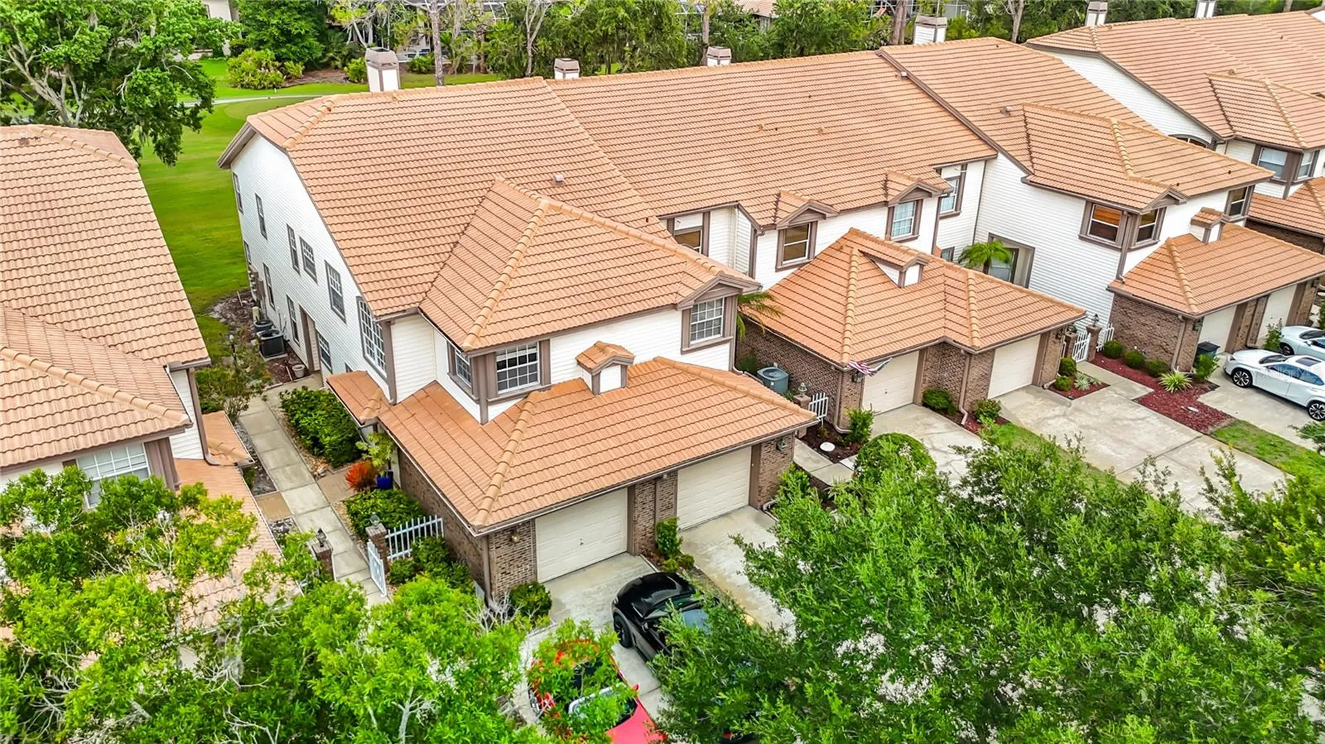 1260 Clays Trail Oldsmar FL 34677