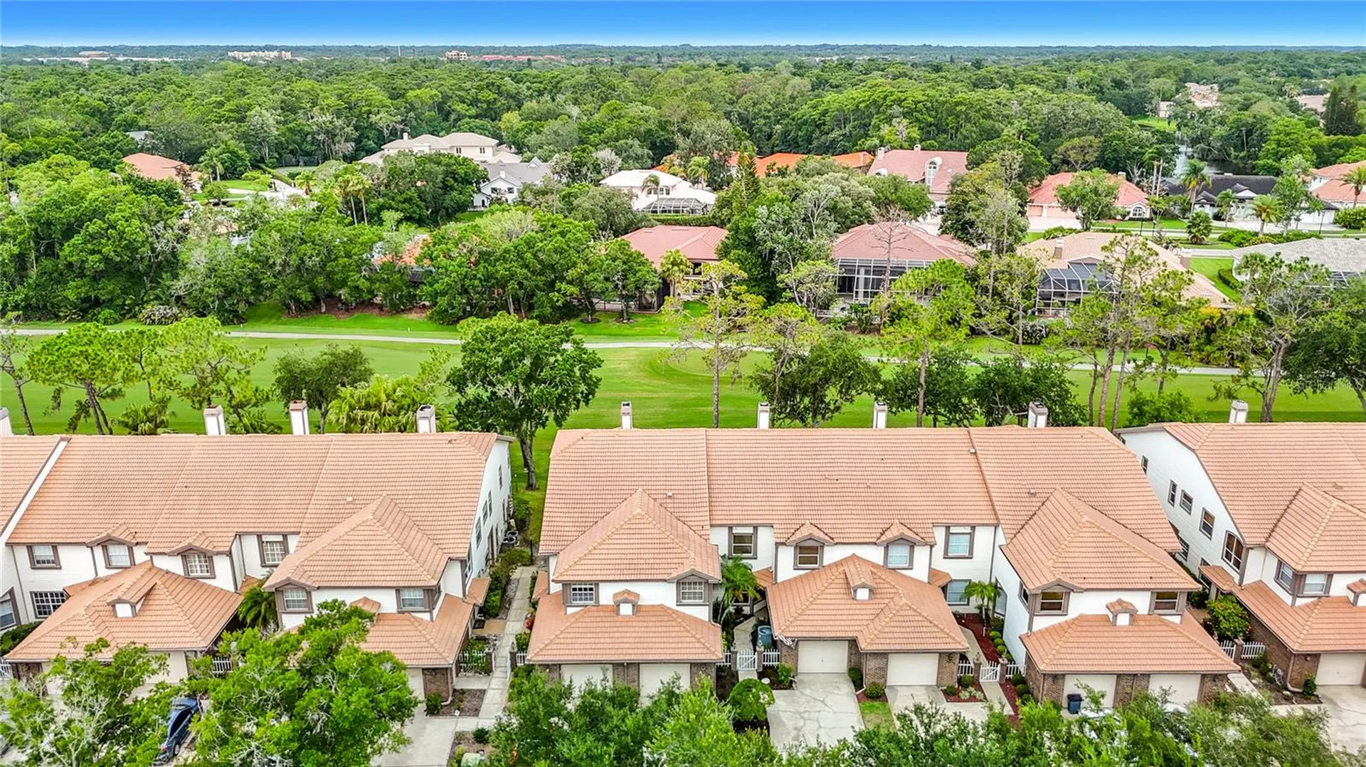 1260 Clays Trail Oldsmar FL 34677