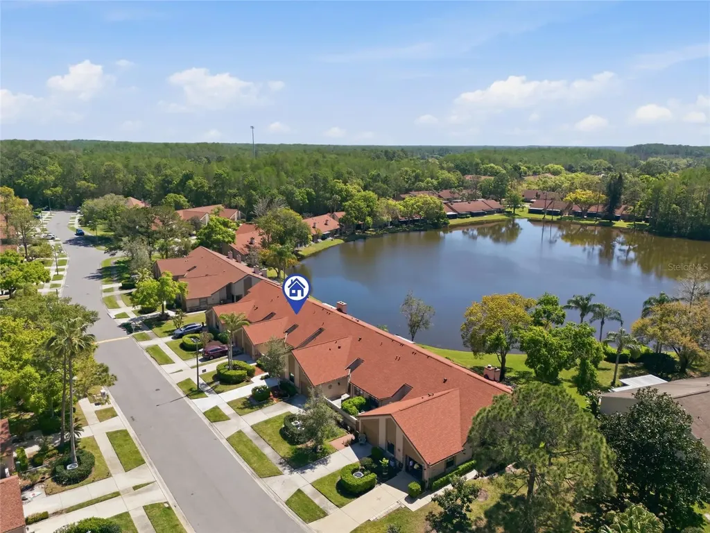 3962 Mermoor Drive Palm Harbor FL 34685