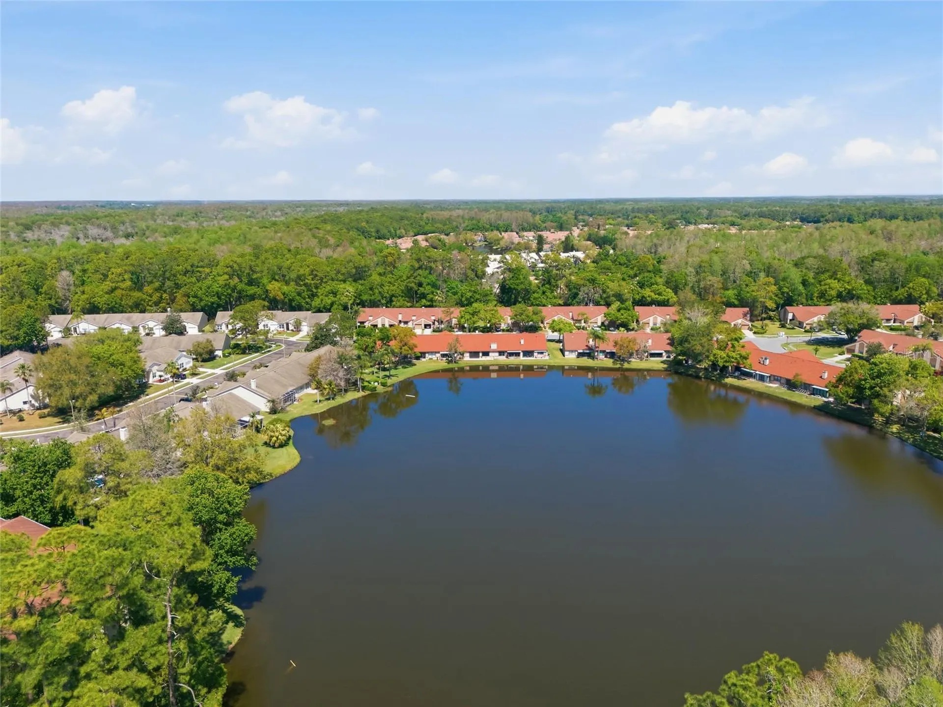 3962 Mermoor Drive Palm Harbor FL 34685