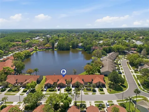 3962 Mermoor Drive Palm Harbor FL 34685