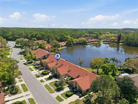 3962 Mermoor Drive Palm Harbor FL 34685