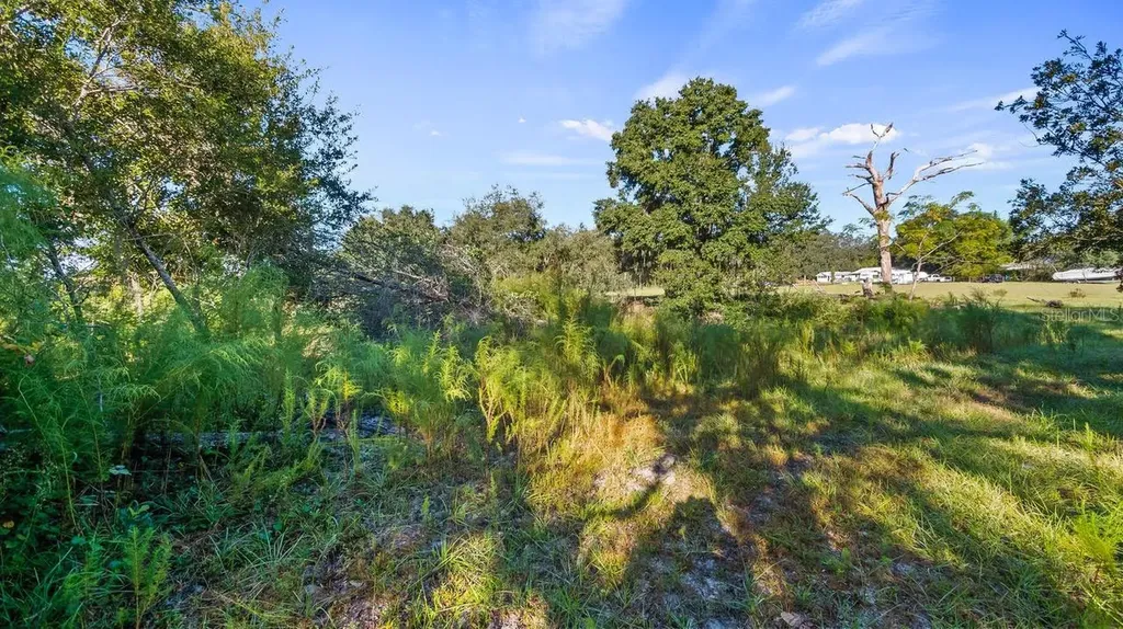 23158 Loop Road Groveland FL 34736