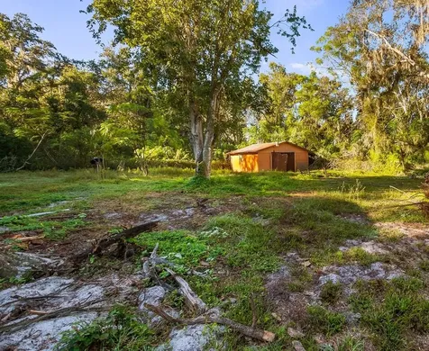 23158 Loop Road Groveland FL 34736