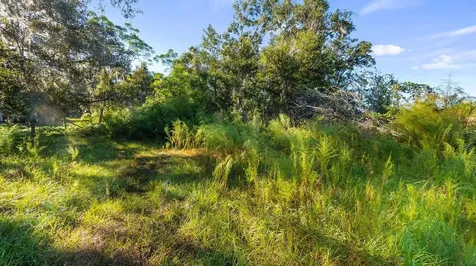 23158 Loop Road Groveland FL 34736