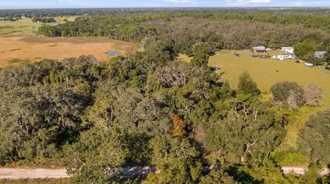 23158 Loop Road Groveland FL 34736