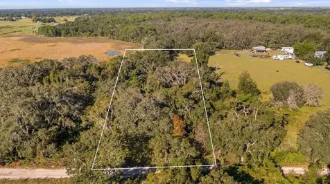 23158 Loop Road Groveland FL 34736