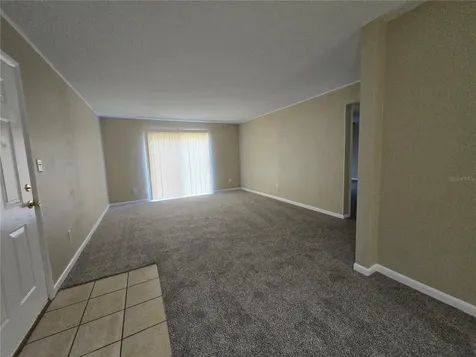 507 NW 39th Road Gainesville FL 32607